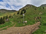 Spettacolo di fiori e marmotte sui sentieri per i Laghetti di Ponteranica–9giu23- FOTOGALLERY